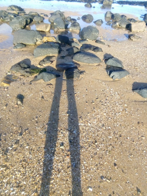 Shadow on the sand