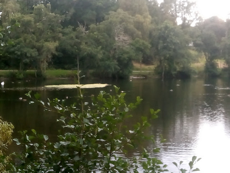 07 Craigower Pond