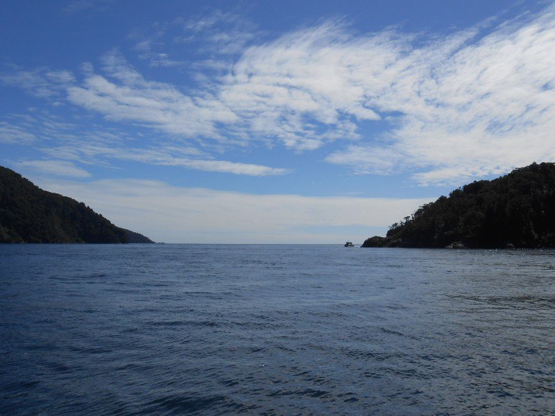Bijna in de Tasman Sea