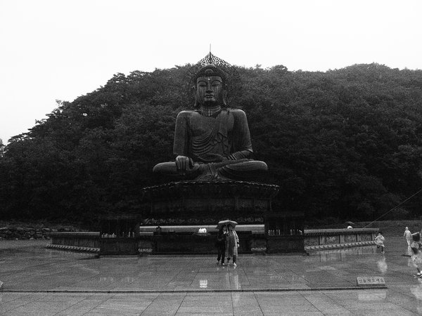 the sitting buddha