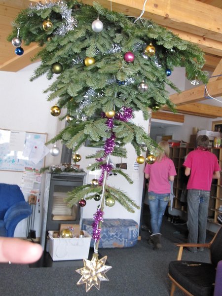 Upside down Christmas tree!