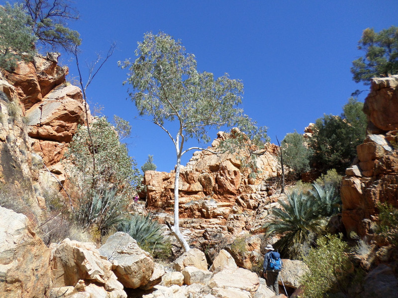 Day 3 - To Stanley Chasm