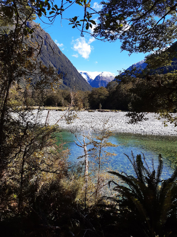 milford track packages