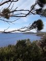 The view back from Hilltop Lookout across Walpole Inlet