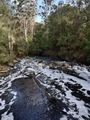 Water flowing down swollen creeks.