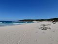 Looking back down the beach I had walked