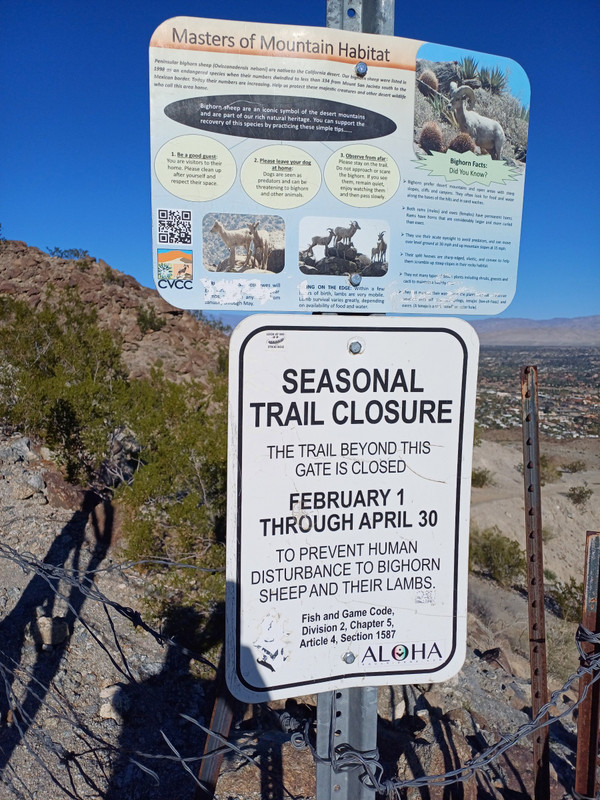 At the top, the gate is locked for a period to let the BIghorn sheep  lamb