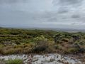 The landscape looks desolate and windswept, but I am sure in the winter, it would be a harsh place to be