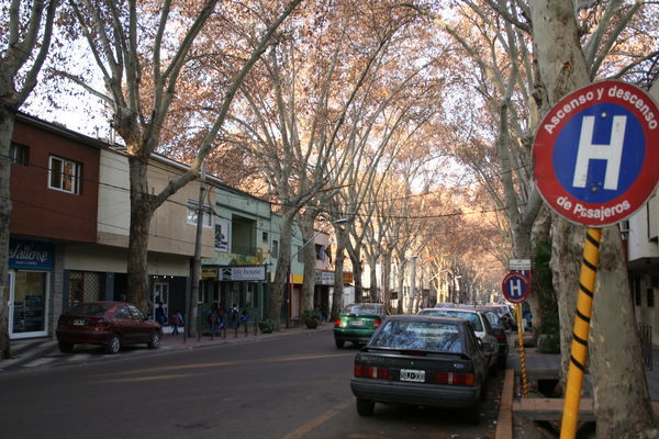 Near Plaza Italia