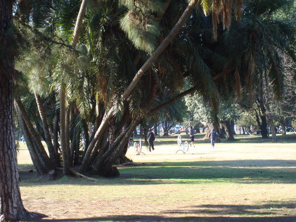 Parque Tres de Febrero