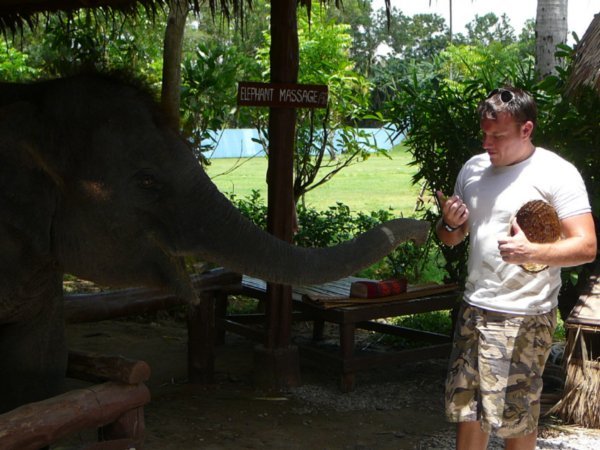 Joel wonders whether to feed the elephant or eat the banana