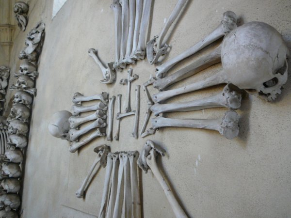 Creative (or insane) bone creations