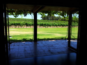 Winery view
