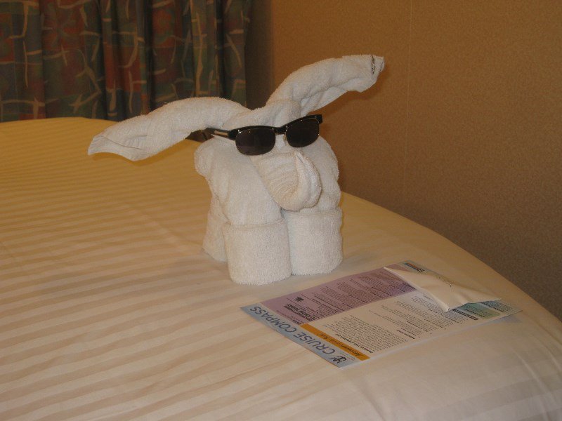 Cool towel donkey