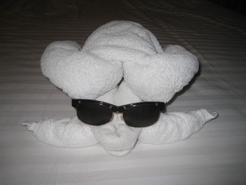 Cool towel turtle!