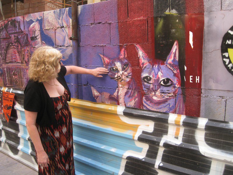 Graffiti cats 