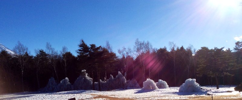 Ice sculptures 