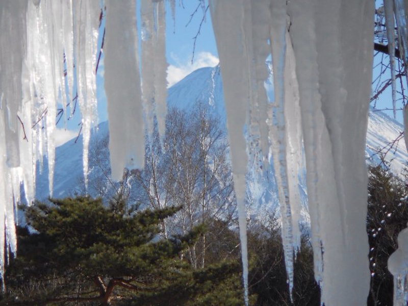 Behind the icicles 