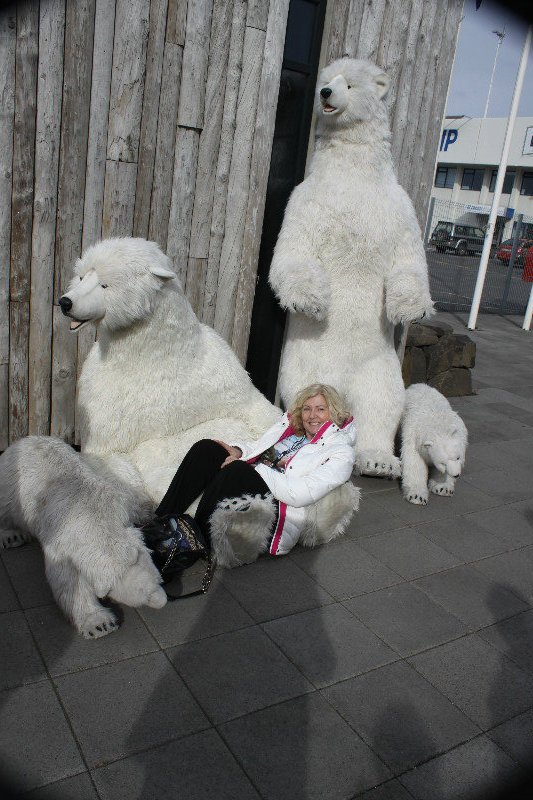 nice polar bears 