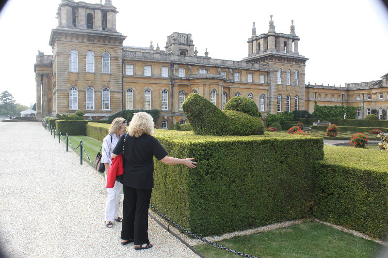 Wobbly hedge at Blenheim Palace