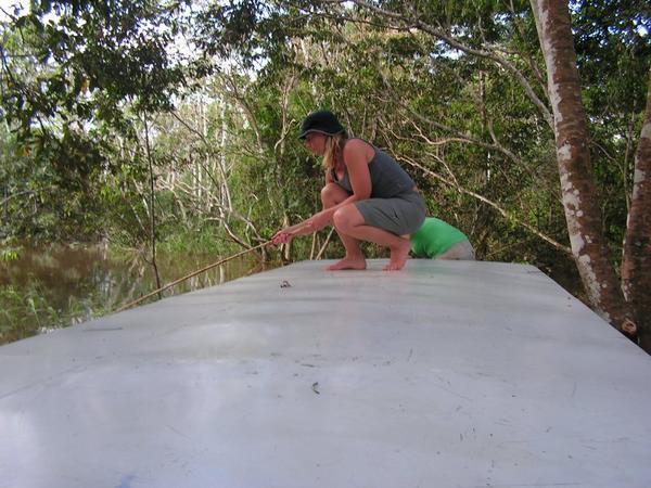 Jenny fiskar Piraya från taket på båten