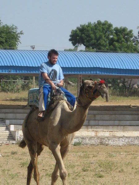 Sean the Camel Racer