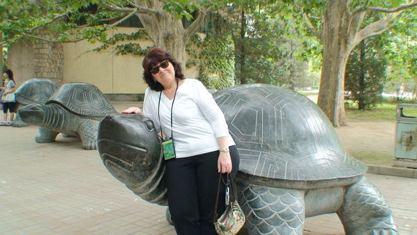 Ginny and a BIG turtle!