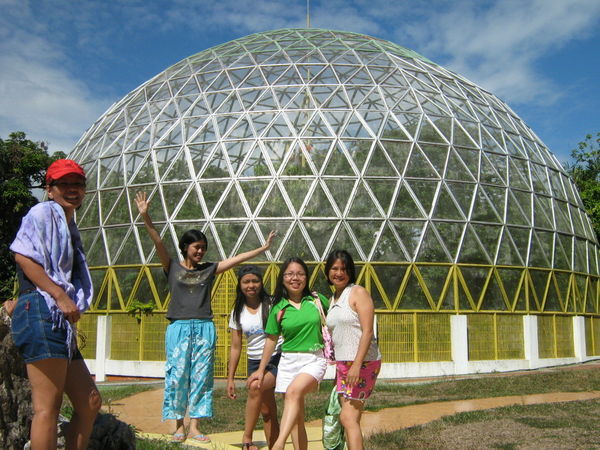 in front of the aviary