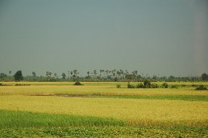 on the way to siem reap