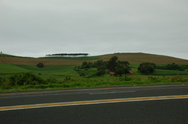 road trip from durban to richards bay/ st lucia