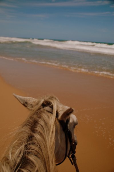 horse ride on the beach