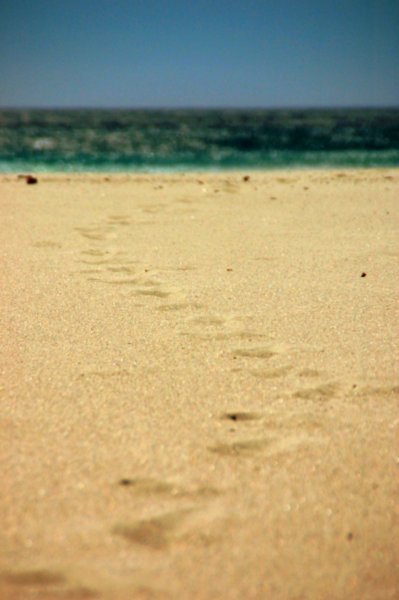 lladudno footprints