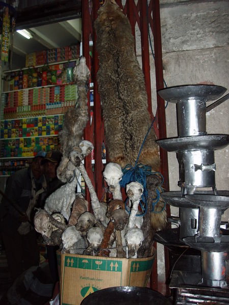 La Paz witches market