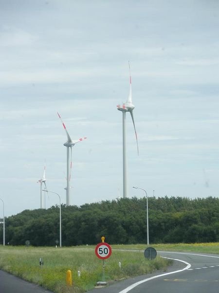 Windmills Everywhere