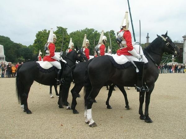 Horse Guards 3