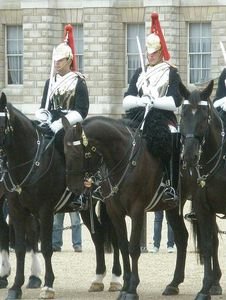 Horse Guards 4