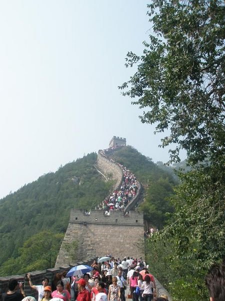 Crowded Wall