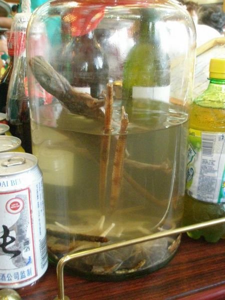 Lizard, Seahorse and Snake Wine - PASS!