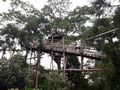 Treetop hut in the Cleanest Village of Asia, Mawlynnong
