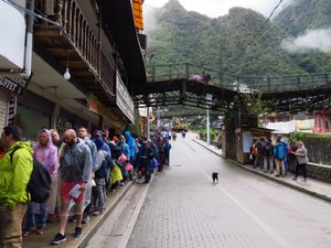 The long queue waiting for the bus in Aguas Calientes to go to Machu Picchu