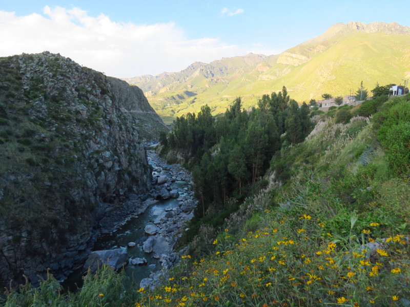 Colca Valley