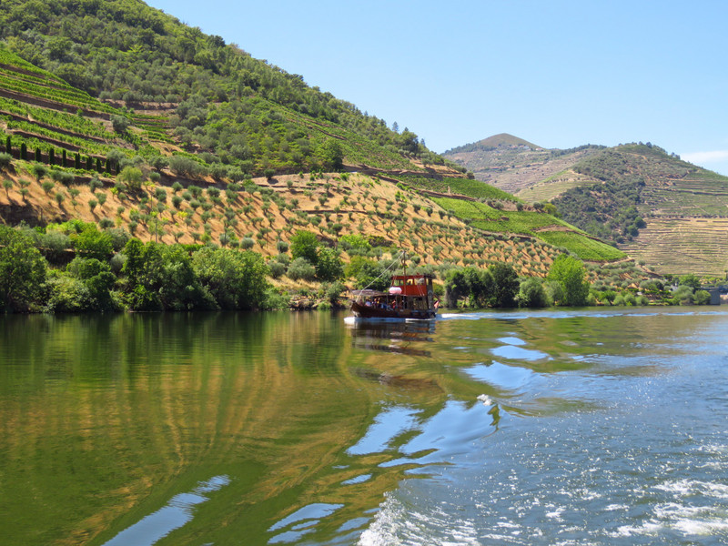Boat trip in the Douro Valley