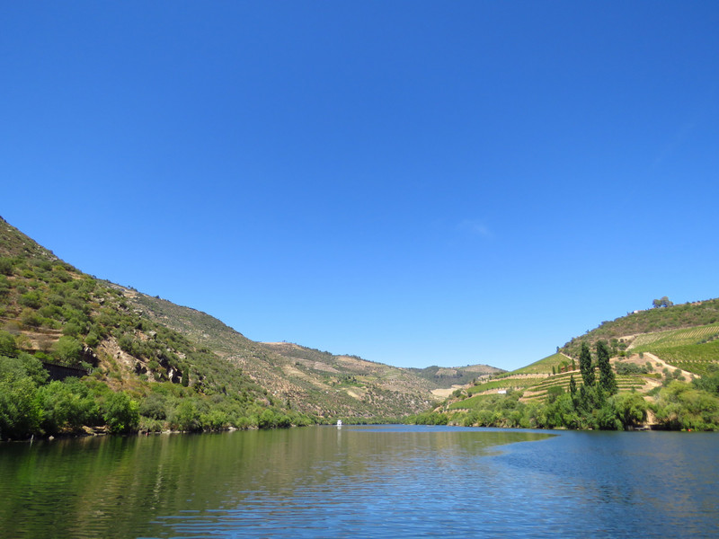 Boat trip in the Douro Valley
