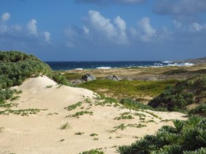 California sand-dunes