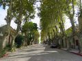 Street in a residential area of Colonia del Sacramento