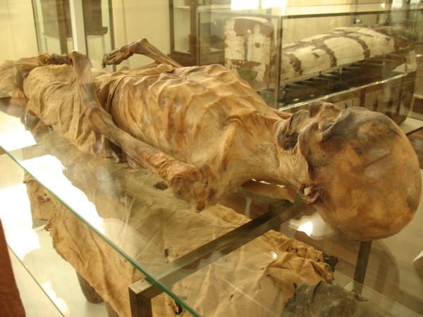 Museo Egizio (Egyptian Museum) - Torino