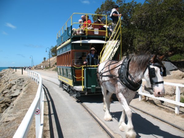 Horse tram in Victor Harbor