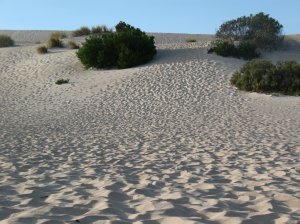 sand dunes on Kangaroo Island
