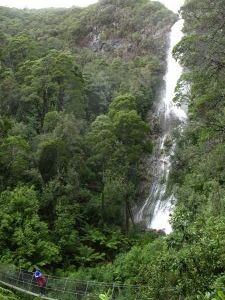 Montezuma Falls, Tasmania (104 m high)