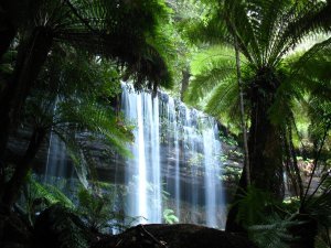 Russell Falls, central Tasmania